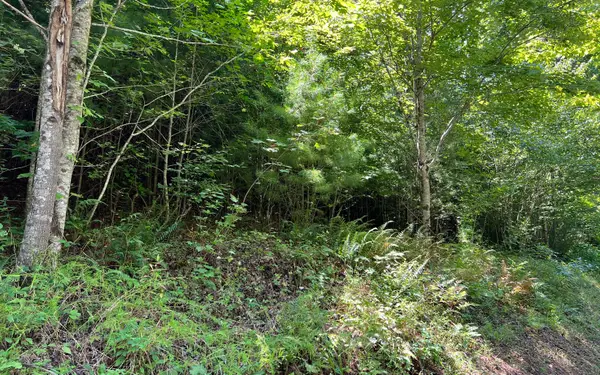 Lot 69 Fires Creek Cove Road, Hayesville, NC 28904