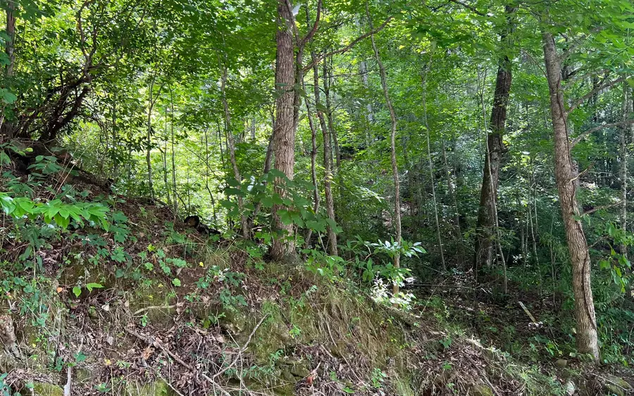 Lot 77 Fires Creek Cove Road, Hayesville, NC 28904 - Image #3