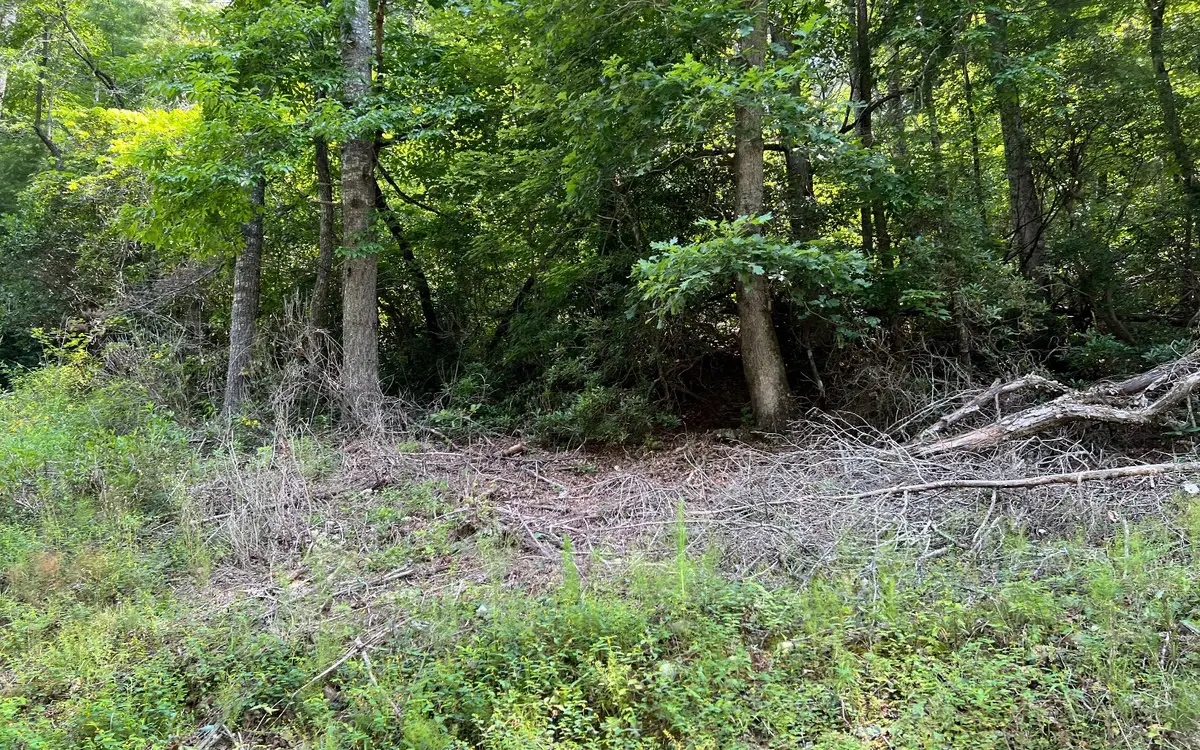 TR 1 Fires Creek Cove Road, Hayesville, NC 28904 - Image #1