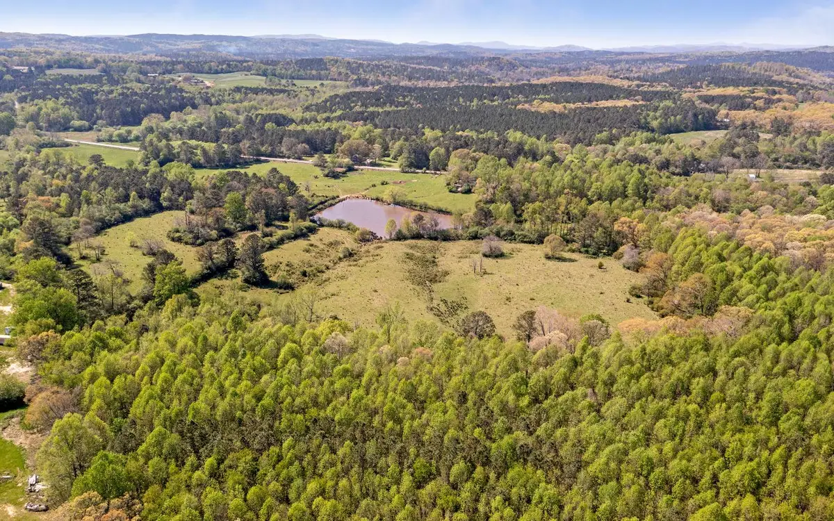 643 & 726hwy 136 Connector, Talking Rock, GA 30175 - #1