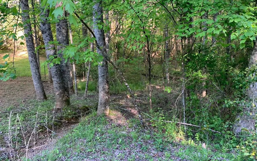 LOT # Hunter Valley Road, Murphy, NC 28906 - #2