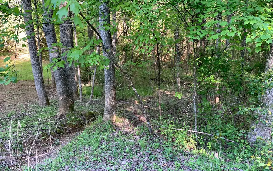 LOT # Hunter Valley Road, Murphy, NC 28906 - #3