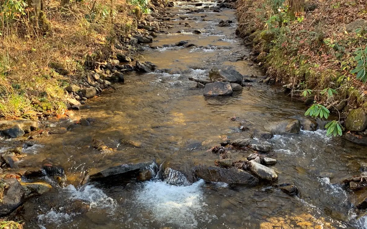 1449 Muskrat Creek Road, Hayesville, NC 28904 - Image #1