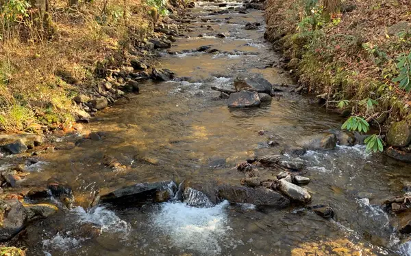 1449 Muskrat Creek Road, Hayesville, NC 28904