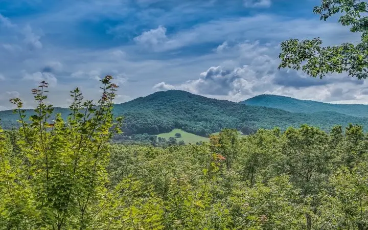 163 Shepherds Walk, Morganton, GA 30560 - Image #2