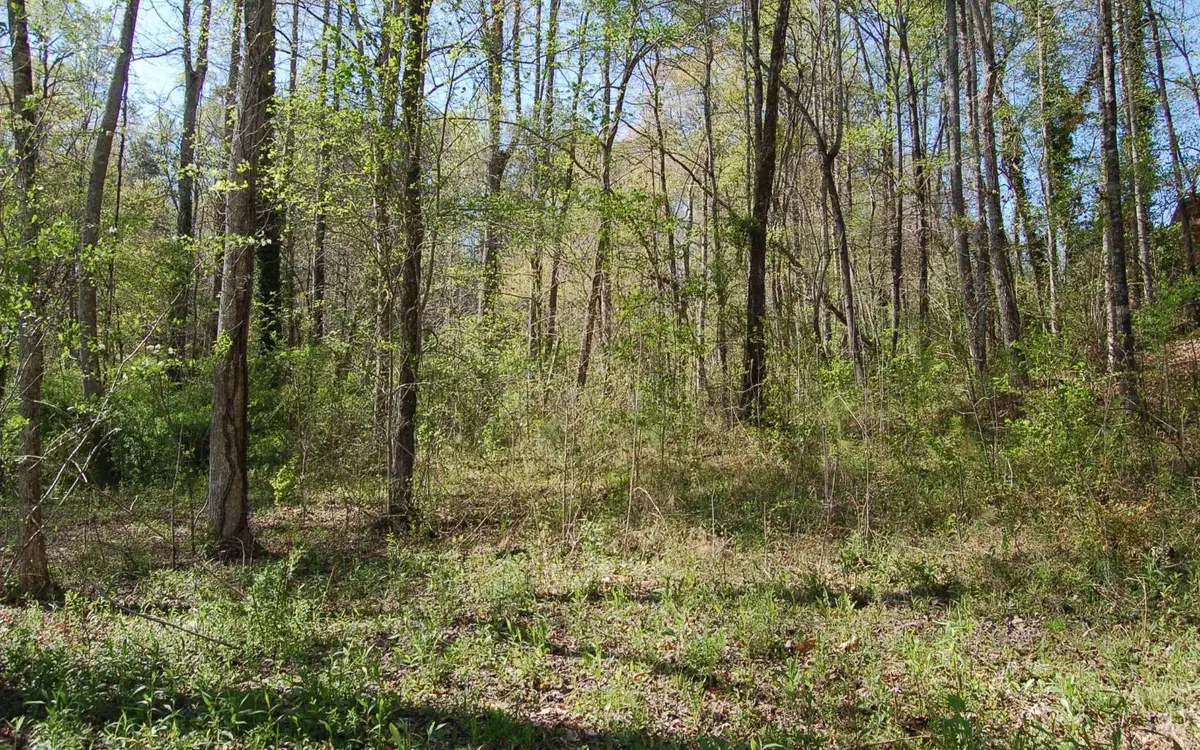 LT 14 Chatuge Village #14, Hayesville, NC 28904 - Image #1