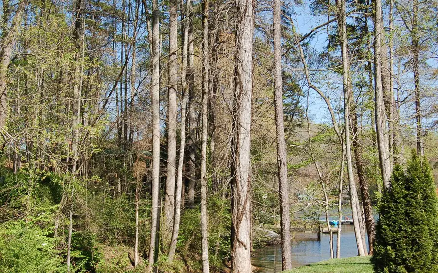 LT 14 Chatuge Village #14, Hayesville, NC 28904 - Image #2