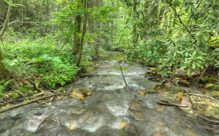 261 Frosty Mountain Trai, Ellijay, GA 30536 - Image #2