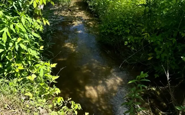 180 Old Ducktown Rd, Turtletown, TN 37391 - Image #2