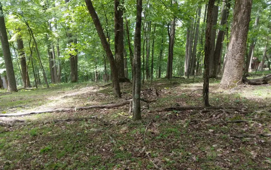 M213 Walnut Ridge, Ellijay, GA 30536 - Image #3