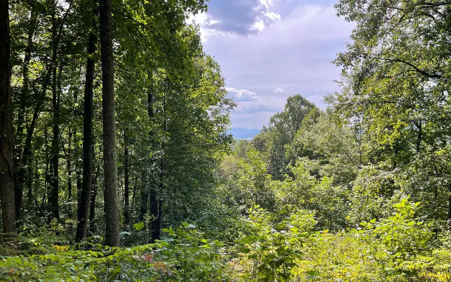 Lot 30 High Meadows, Hayesville, NC 28904 - Image #2