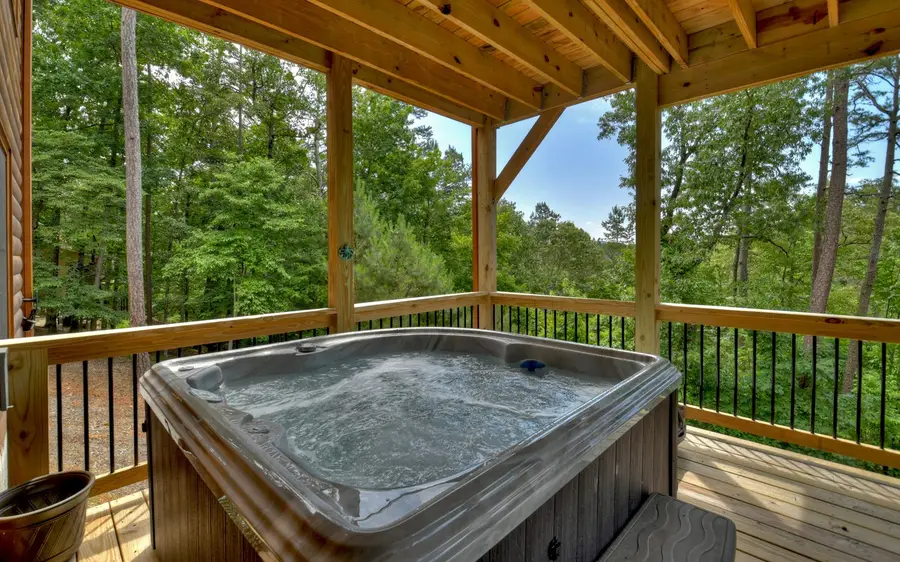 200 Fleur Lane, Ellijay, GA 30540 - #3