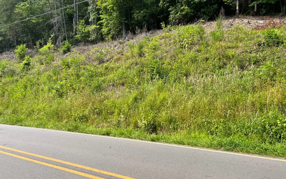Lot 3 Fires Creek Road, Hayesville, NC 28904 - Image #1