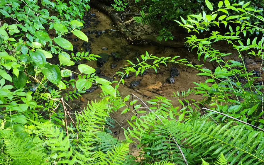 3.5AC Sassafras Ridge Road, Turtletown, TN 37391 - Image #2