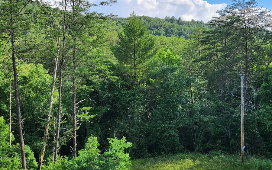 3.5AC Sassafras Ridge Road, Turtletown, TN 37391 - Image #3