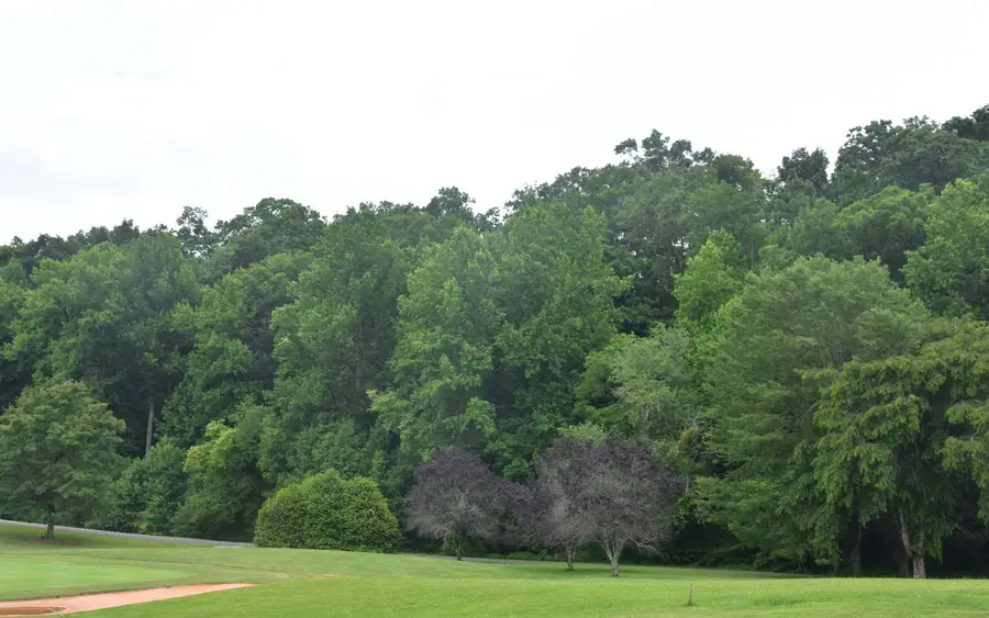 85A Licklog Ridge, Hayesville, NC 28904 - Image #2