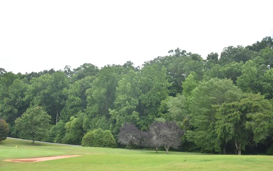 85A Licklog Ridge, Hayesville, NC 28904 - Image #3