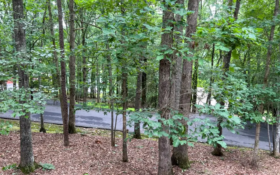 230 Bass Ridge Road, Blairsville, GA 30512 - Image #3