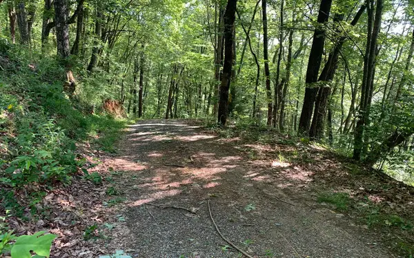 LT107 Steep Cove Road, Murphy, NC 28906