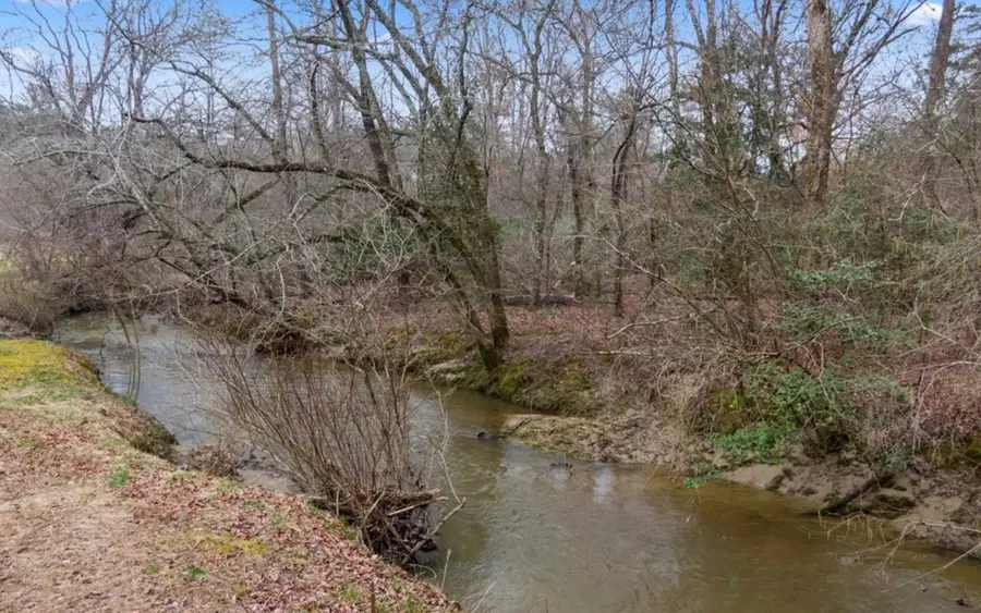 146 Johns Ridge Road, Blue Ridge, GA 30513 - Image #3