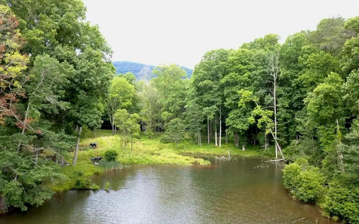 585 Stanley Stover Rd., Ellijay, GA 30536 - Image #1