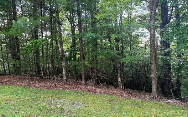 Lot 40 Double Knobs Drive, Hayesville, NC 28904