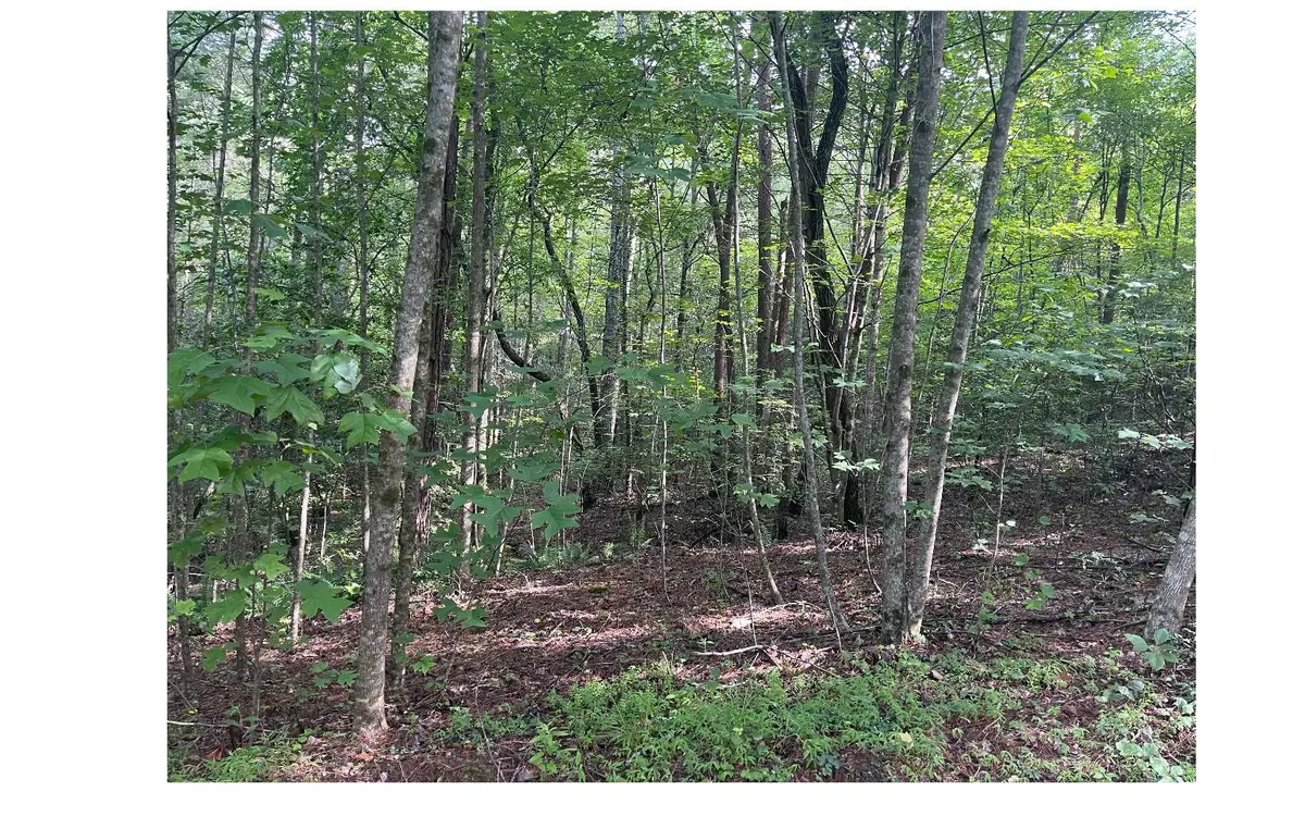 LT 5 Sherwood Forest Drive, Murphy, NC 28906 - Image #1