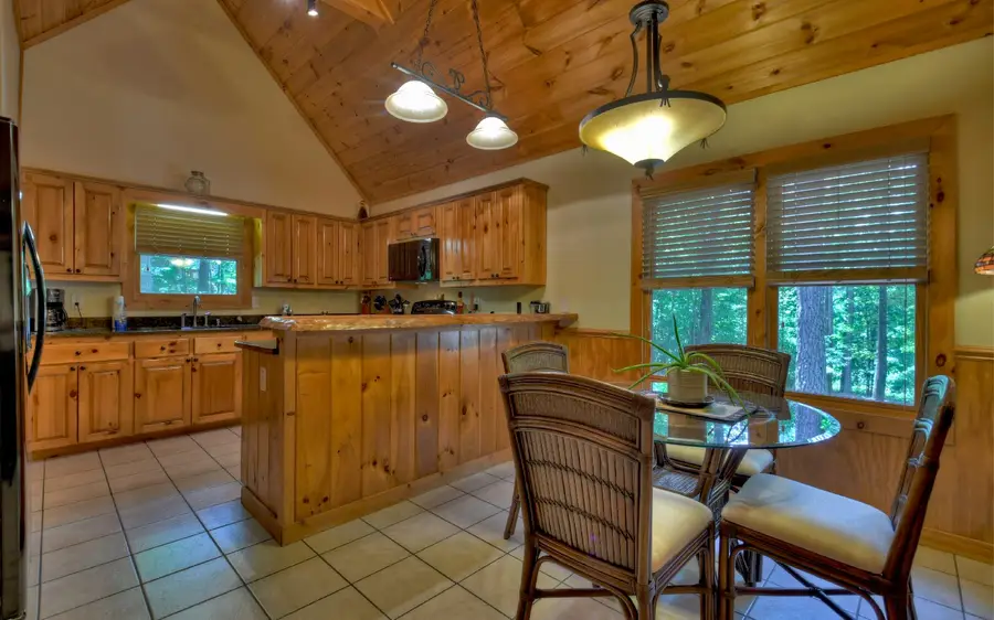 119 Black Oak Ridge Road, Blue Ridge, GA 30513 - #3