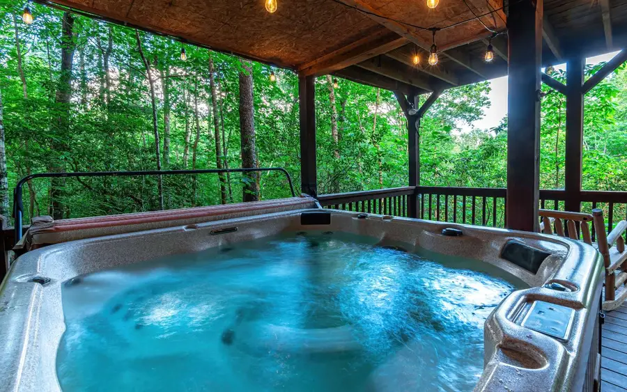 80 Posey Road, Blue Ridge, GA 30513 - Image #2