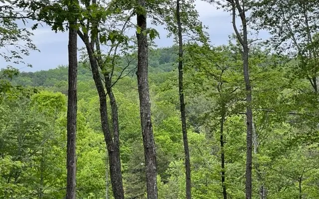 78 Whispering Hawk Ct, Morganton, GA 30560 - Image #2