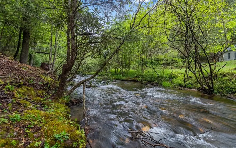 20 Stanley Creek Trail, Cherry Log, GA 30522 - Image #3