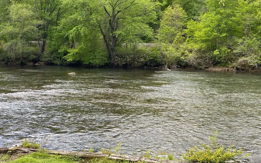 401 N Toccoa River Road, Mineral Bluff, GA 30559 - Image #2