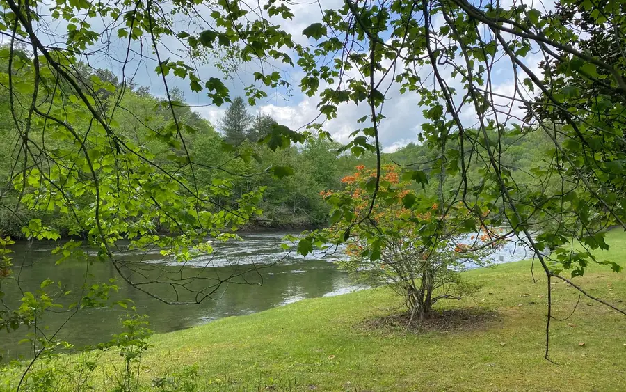 401 N Toccoa River Road, Mineral Bluff, GA 30559 - Image #3