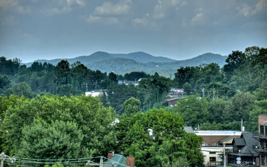 36 Harrison Lane, Blue Ridge, GA 30513 - Image #2