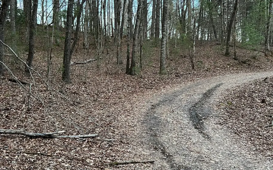 Mountain View Drive #11, Hayesville, NC 28904 - Image #3