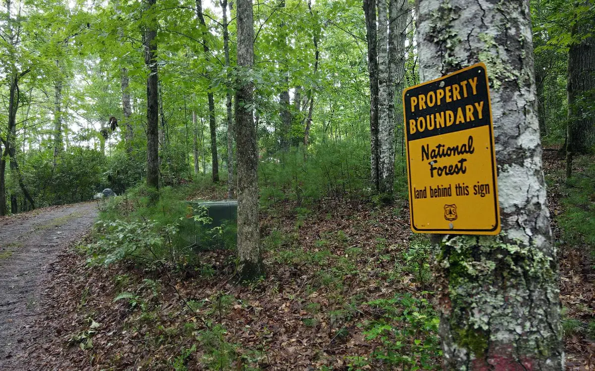 163 Ridgecrest Dr, Blue Ridge, GA 30513 - #1