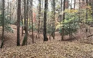 666 Abbey Court, Ellijay, GA 30540