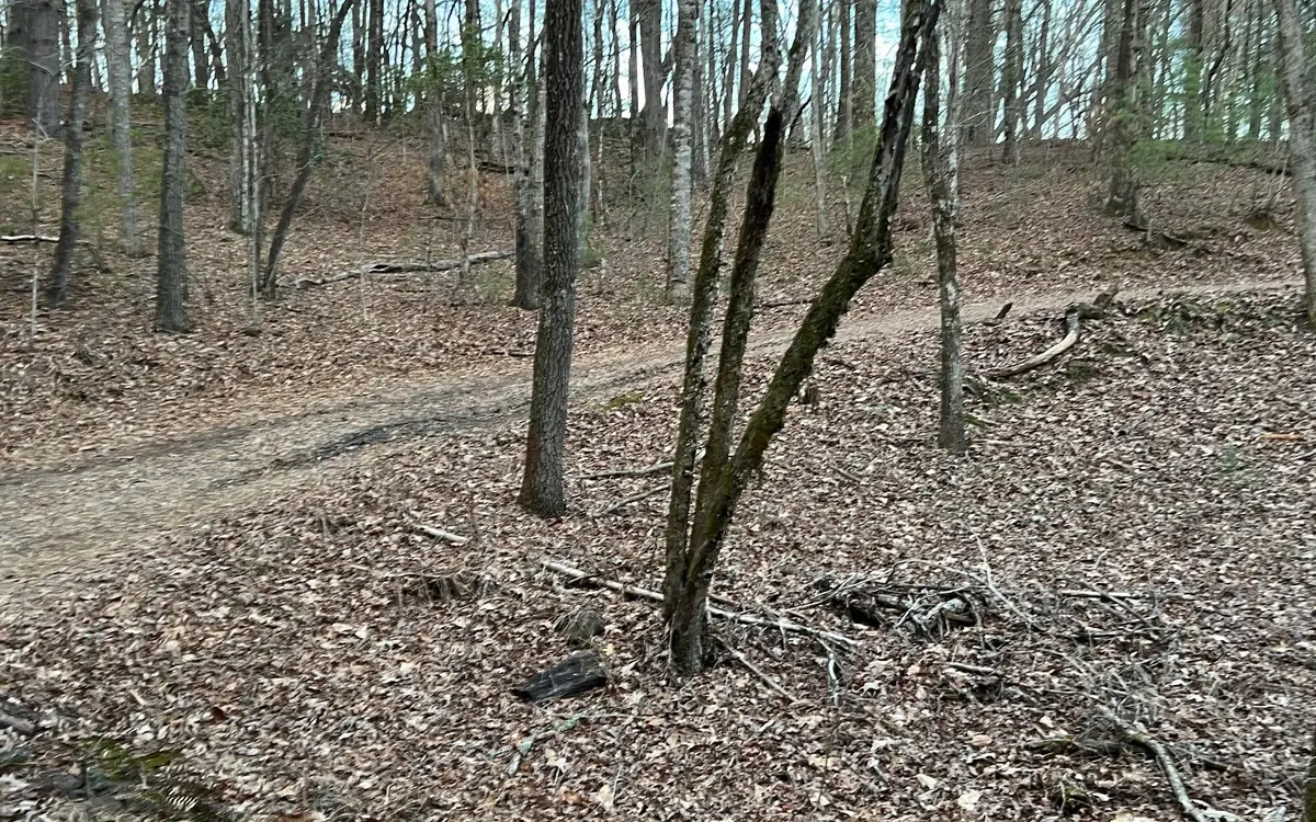 220 Mountain Laurel Dr #9, Hayesville, NC 28904 - Image #1