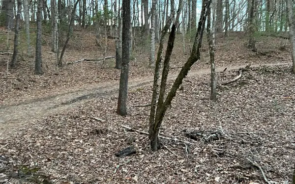 220 Mountain Laurel Dr #9, Hayesville, NC 28904