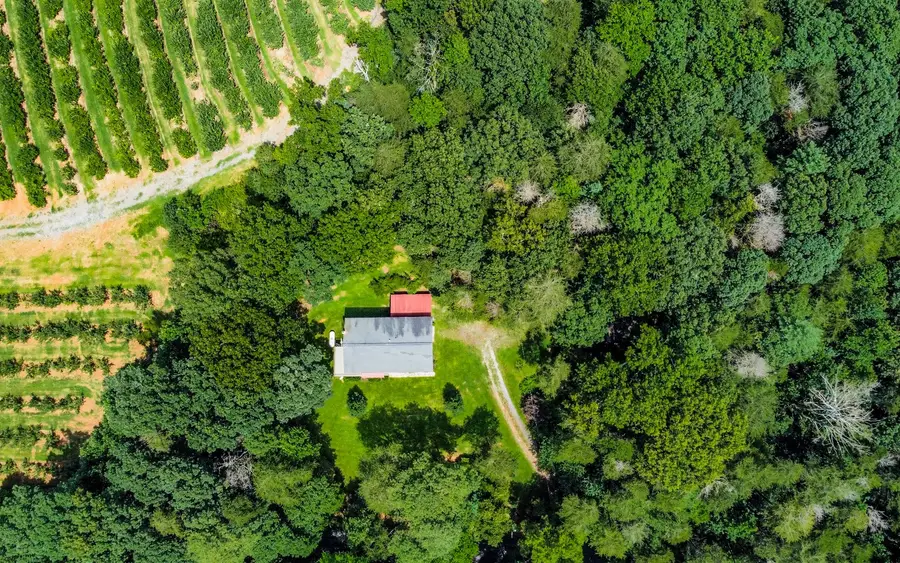 251 Ralston Road, Ellijay, GA 30536 - Image #2
