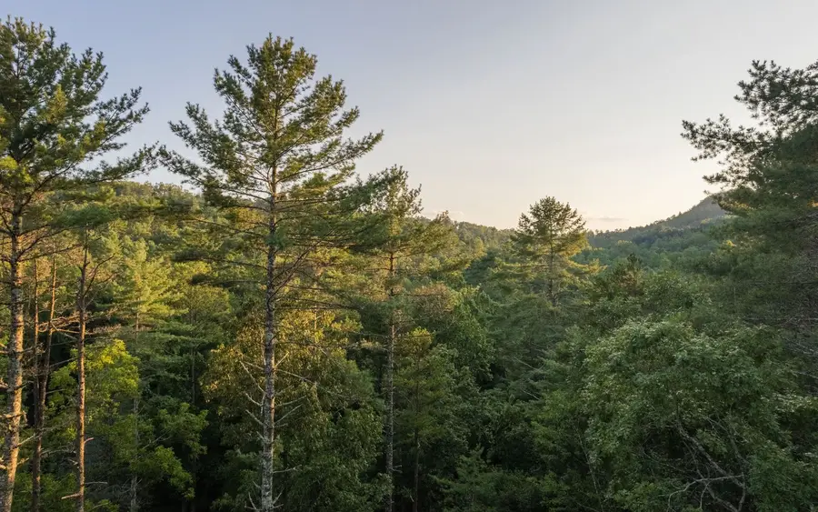 342 Hooch Holler Lane, Morganton, GA 30560 - Image #3