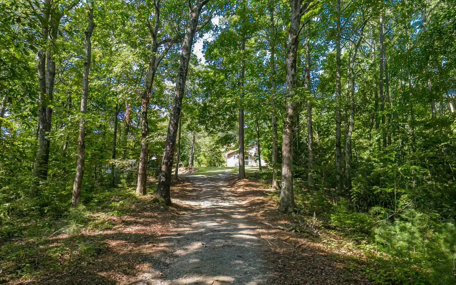 26 Banner Circle, Ellijay, GA 30540 - #2