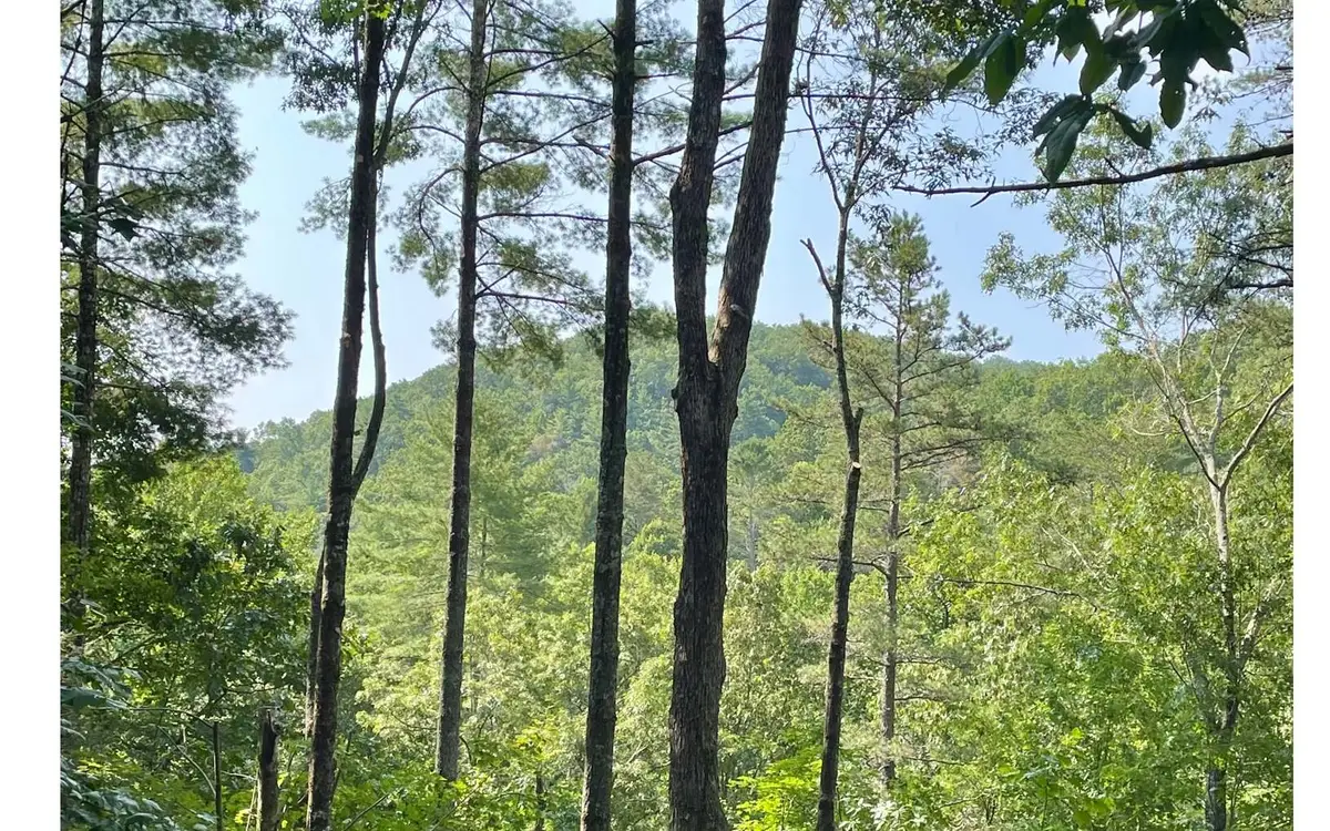 206 Mountain View Dr, Cherry Log, GA 30522 - Image #1