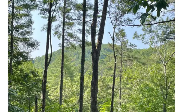 206 Mountain View Dr, Cherry Log, GA 30522