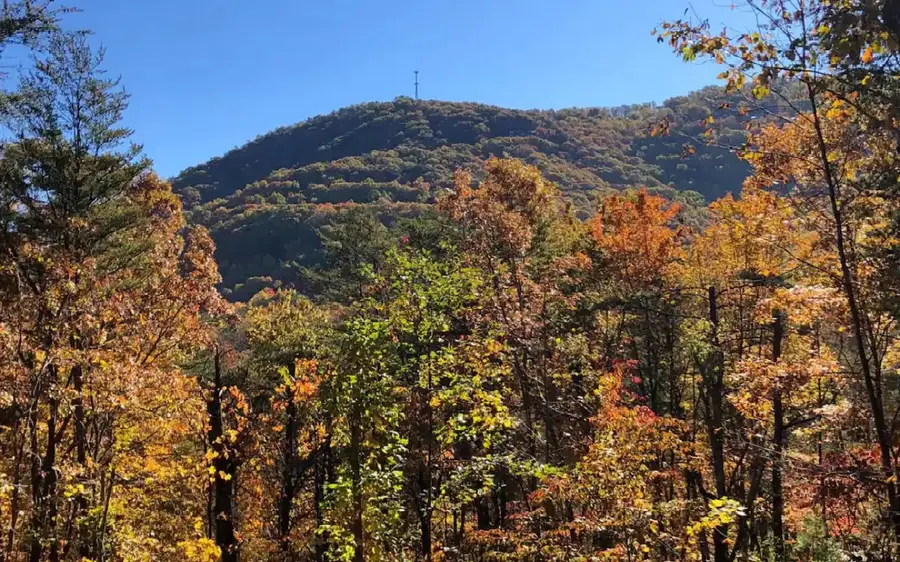 128 Ridge View Estates, Blue Ridge, GA 30513 - #2