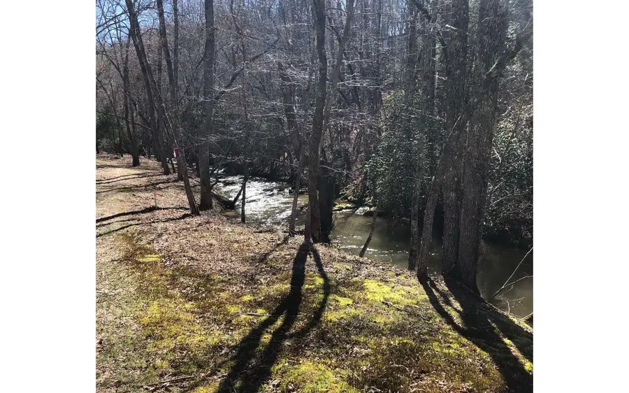 LT 26 Arbor Creek Trail, Mineral Bluff, GA 30559 - Image #2