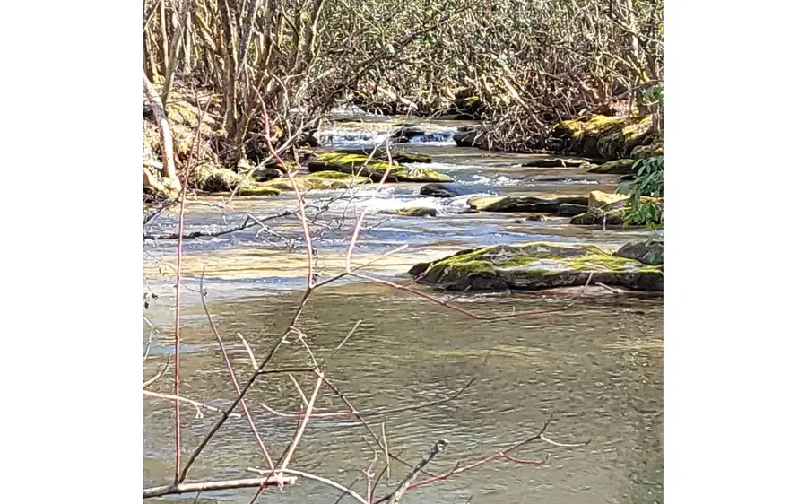 LT 26 Arbor Creek Trail, Mineral Bluff, GA 30559 - Image #3