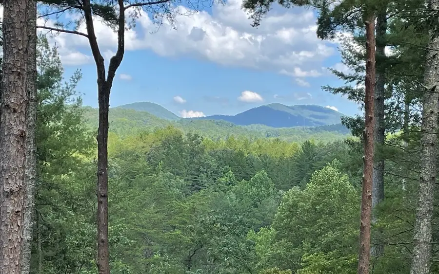 566 Lowery Road, Mineral Bluff, GA 30559 - Image #2