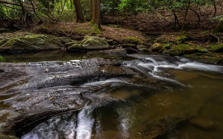 335 Goldmine Dr, Ellijay, GA 30536 - Image #2