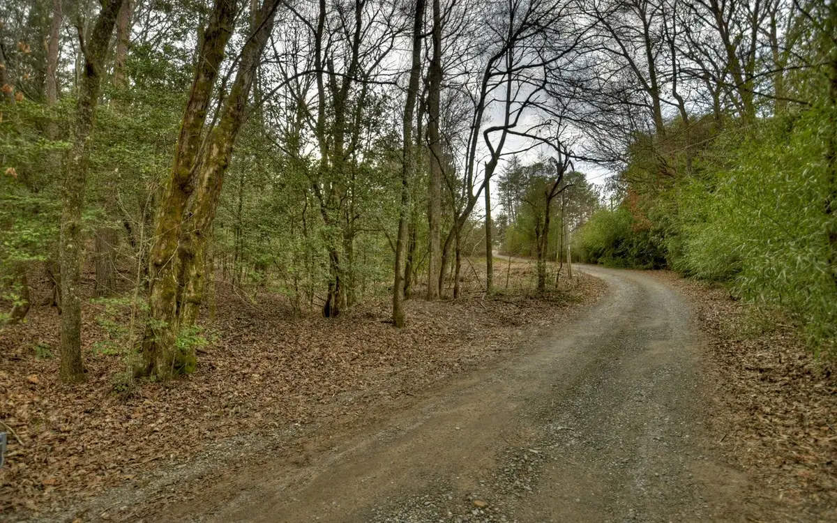 Huckleberry Lane, Mineral Bluff, GA 30559 - Image #1